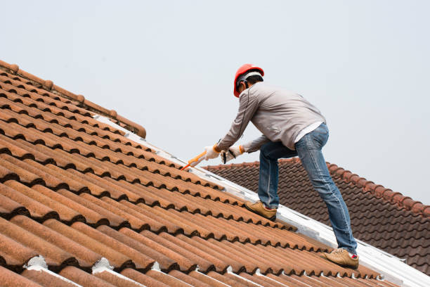Best Skylight Installation and Repair  in Bolivar, WV